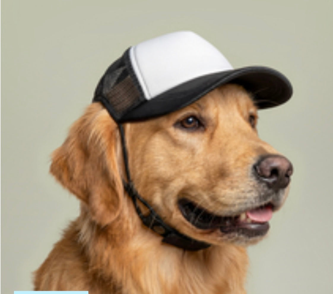 ROARING BOY Dog Foam Trucker Hat